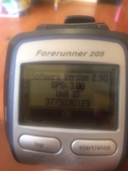 Garmin Forerunner 205
