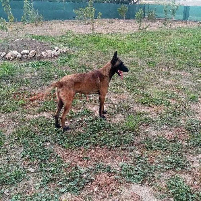 Къща на 30 км от морето