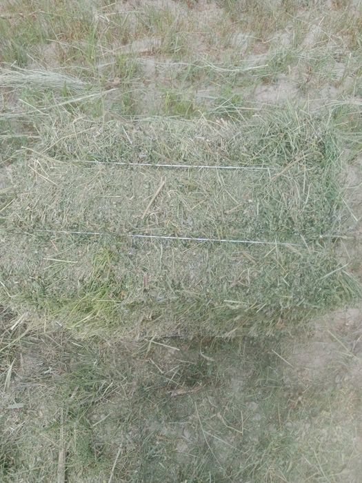 Продам разнотвие