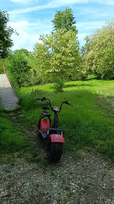 Scuter electric harley
