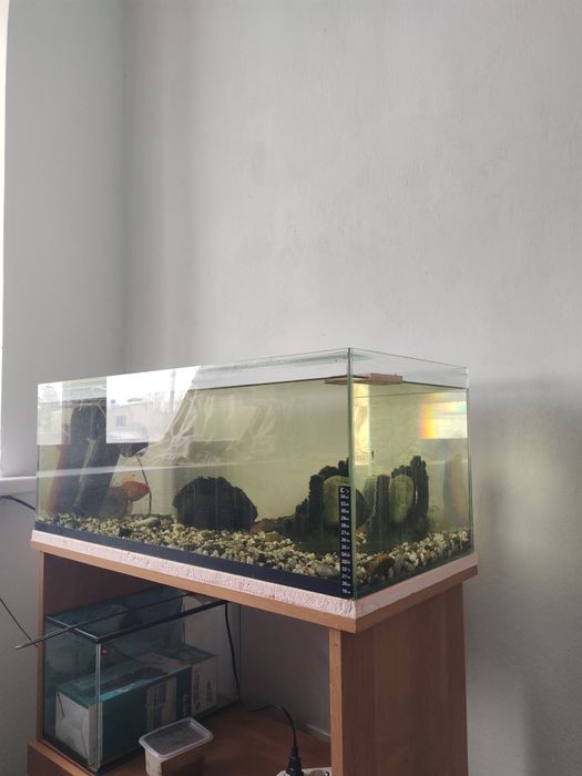 Продам аквариум 80 литров.