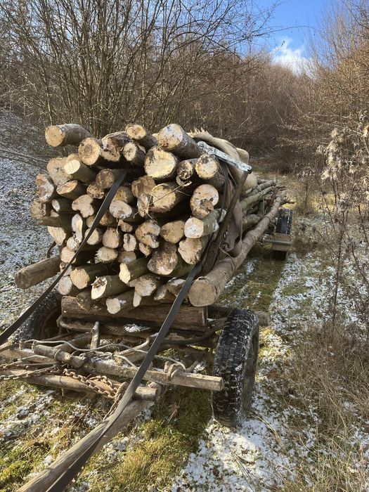 Vand caruța de un cal