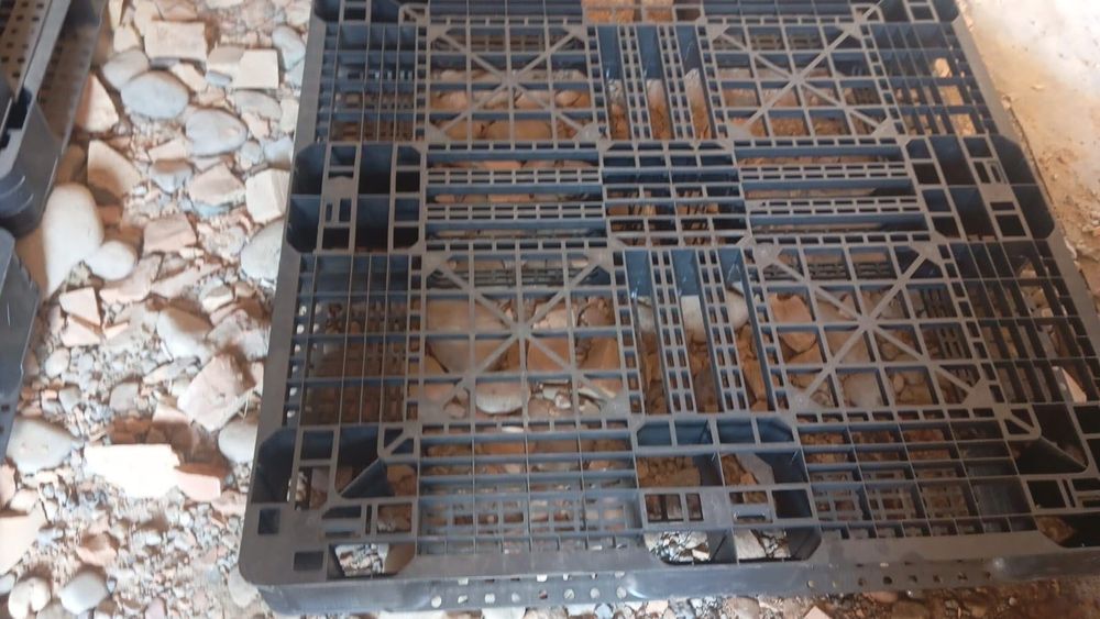 Продам пластиковые палеты