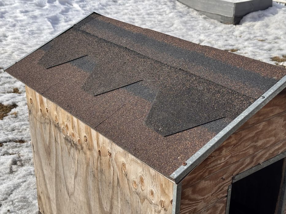 Бутка для собаки