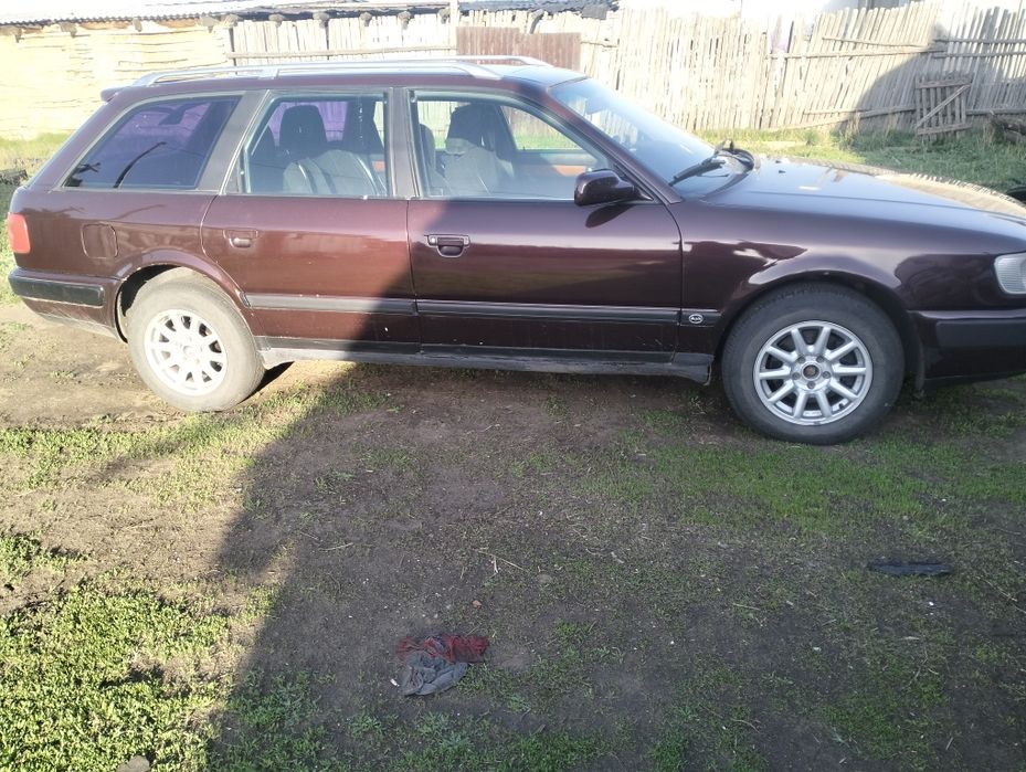 Обмен на сельхоз животные  на лошадей