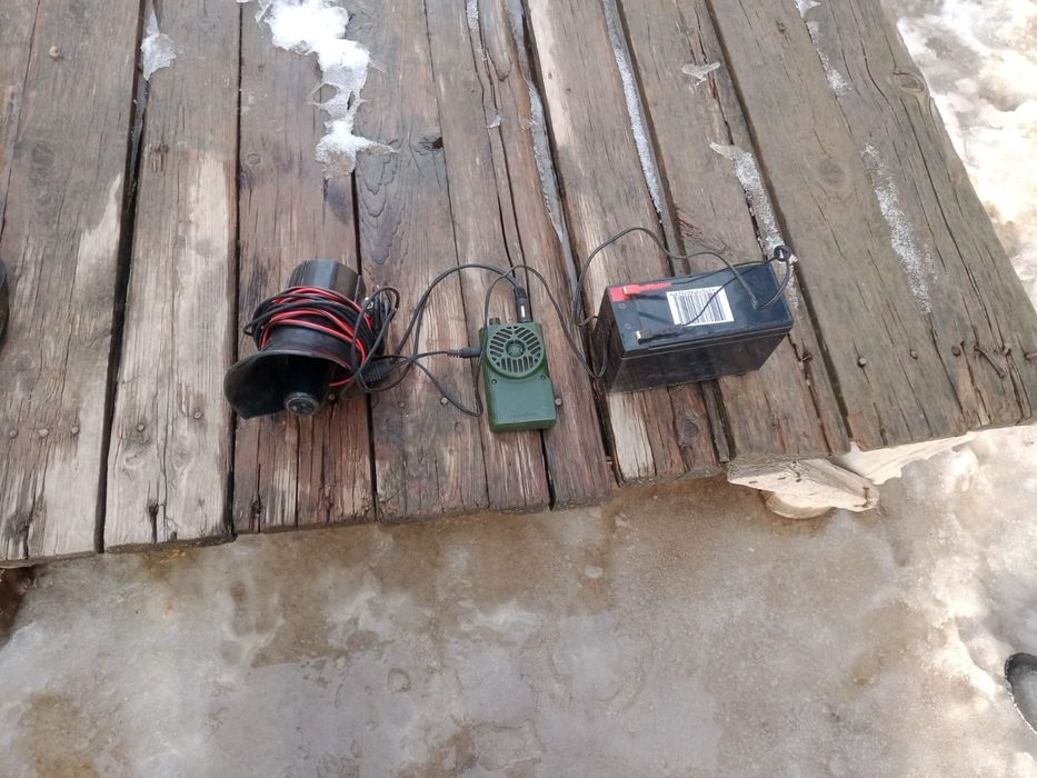 Манок сатылады жана егеси  султан