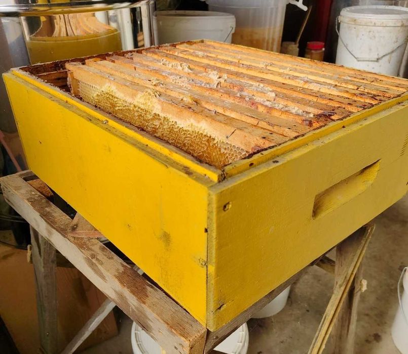 Rame Albine 1/2 si Magazii Caturi cu faguri claditi