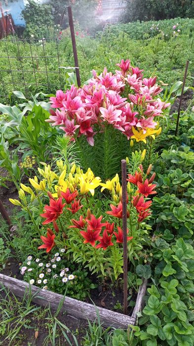 Продам дом в центре города