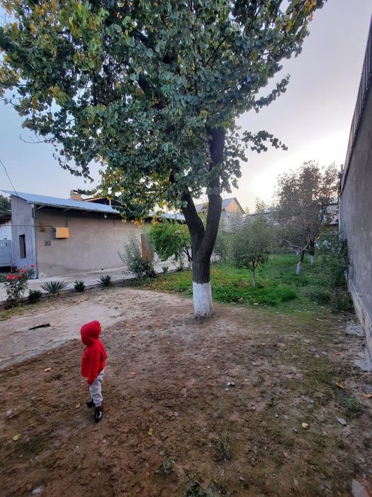 Qibray tumani Dormon  Xaydarobod mahallada 6 sotix 4xona uy soti