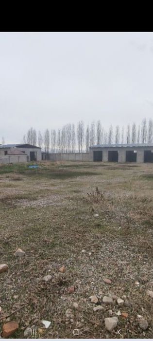 Сотилади 50 соток