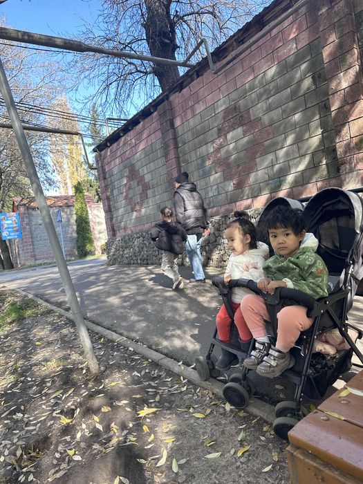 Коляска для двойни