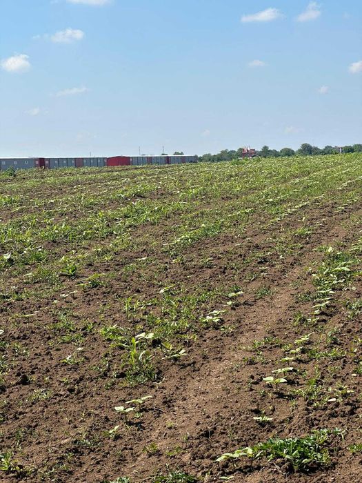 Vand teren extravilan Afumati- Balta Batal