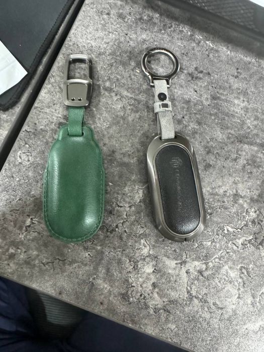 Липмотор пулт чихол