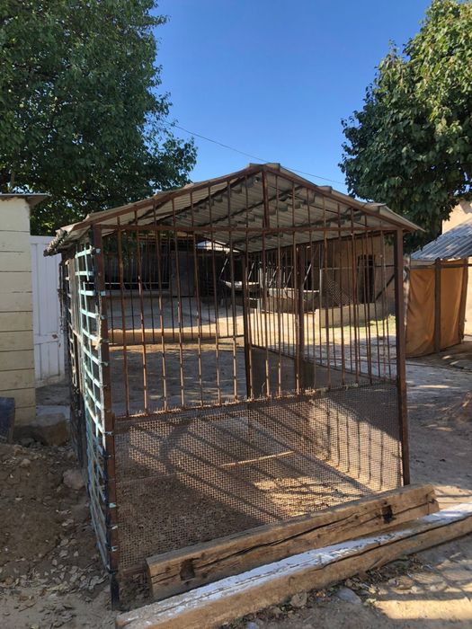 Домик собочек