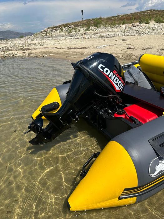 Лодка с мотором срочно цена до пятницы