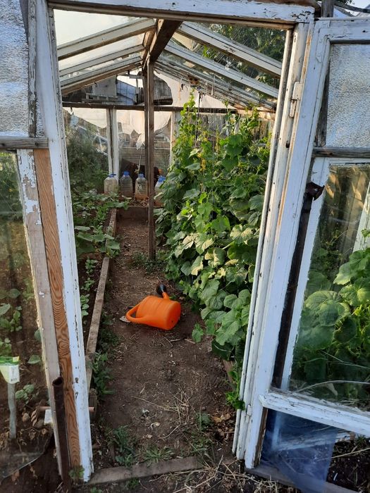 Продам дачу в городе