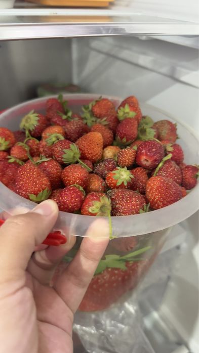 Продам домашнюю клубнику