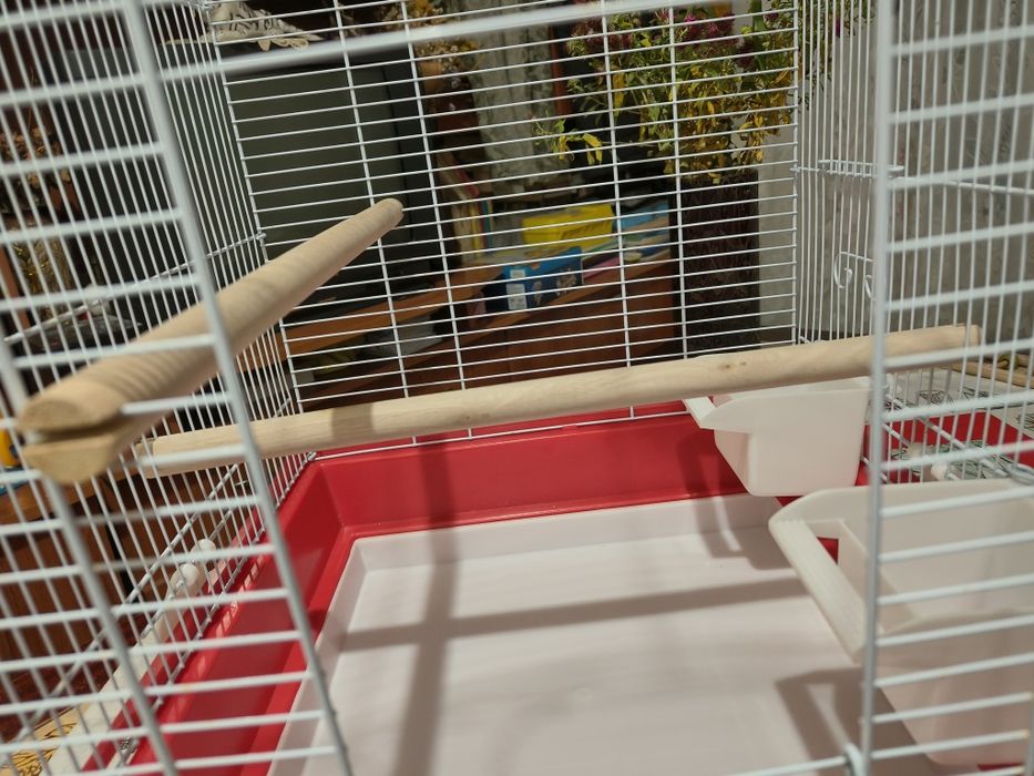 Colivie papagali cu accesorii