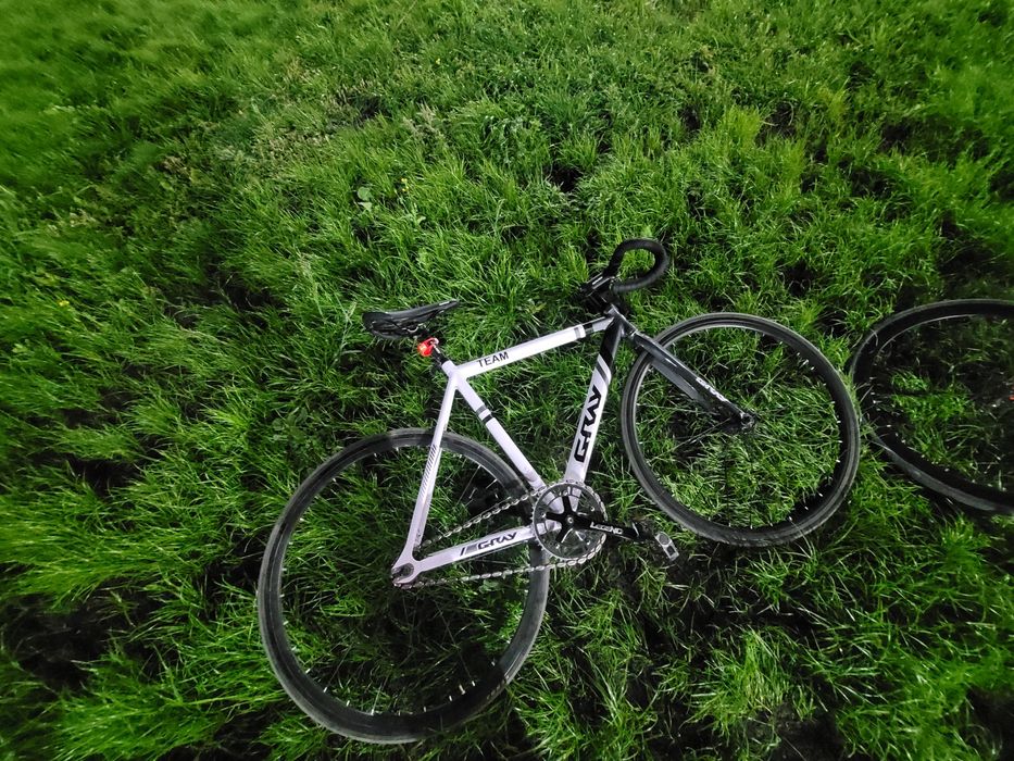 Fixed gear GRAY team