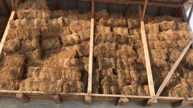 Vând baloți de lucernă din prima cosire - 50 buc