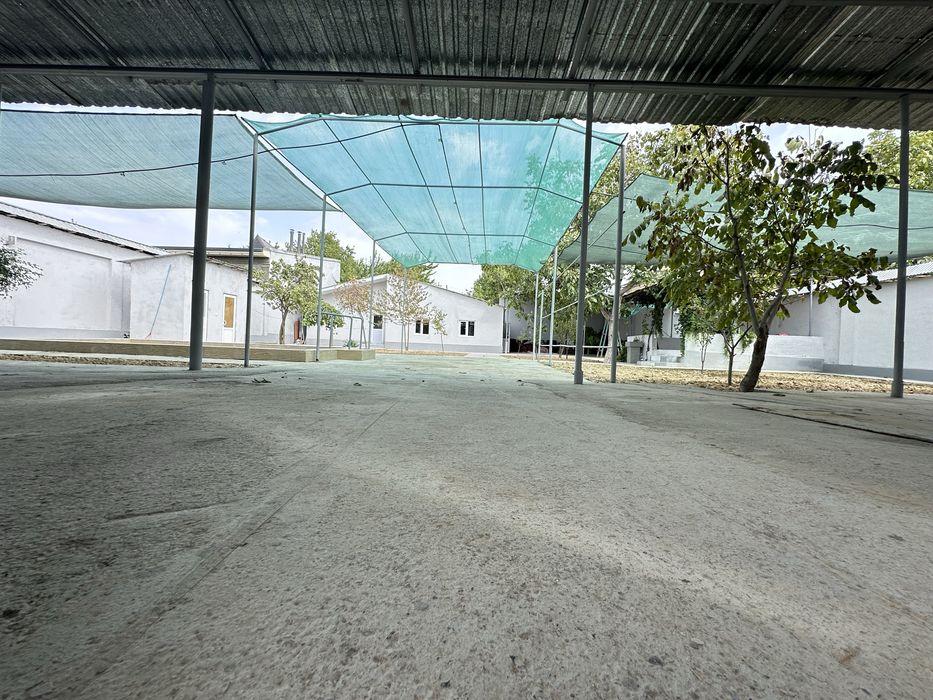 Чирчиқда ховли сотилади ( Чирчик Chirchiq xovli )