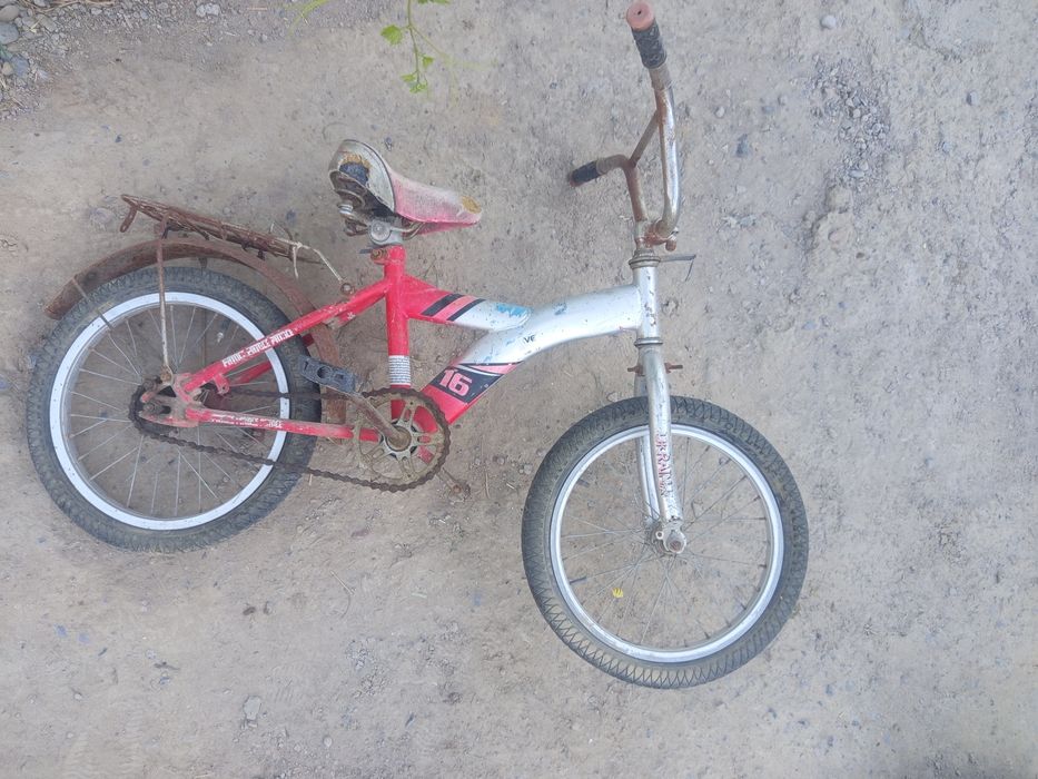 Все велики за одну цену