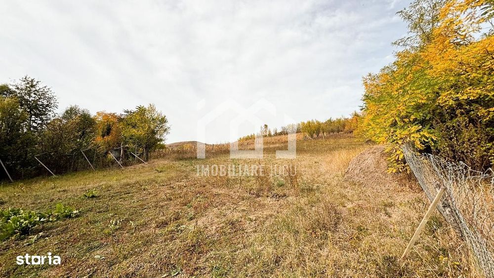 1.838 mp Construibil | Front 25,6 m | Zonă Rezidențială – Gădălin