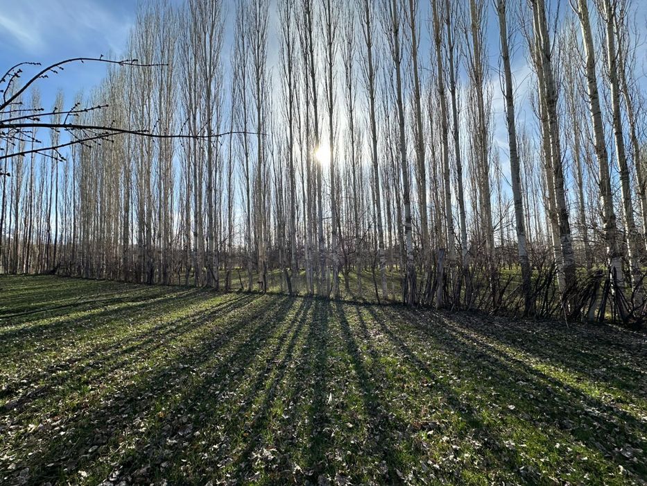 Продается участок в поселке Каскасу