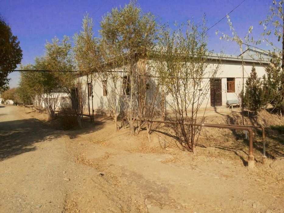 Ховли жойлар сотилади. Янгиариқ-Боғот йўлинда 2та участка 13 сотикда.