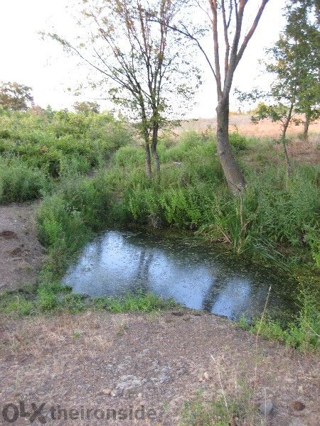 Продава се Земеделски имот в Царево -  кв.м за 27000 €/дка - Снимка #11