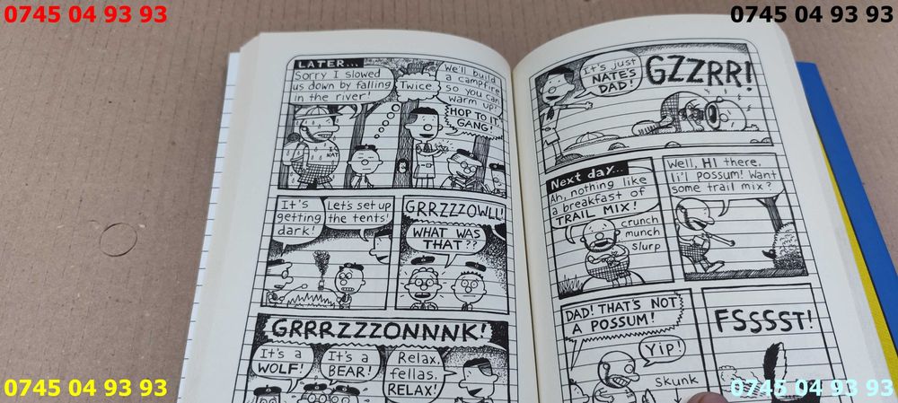 carte carti 2 vol. Big Nate in engleza pret pe ambele