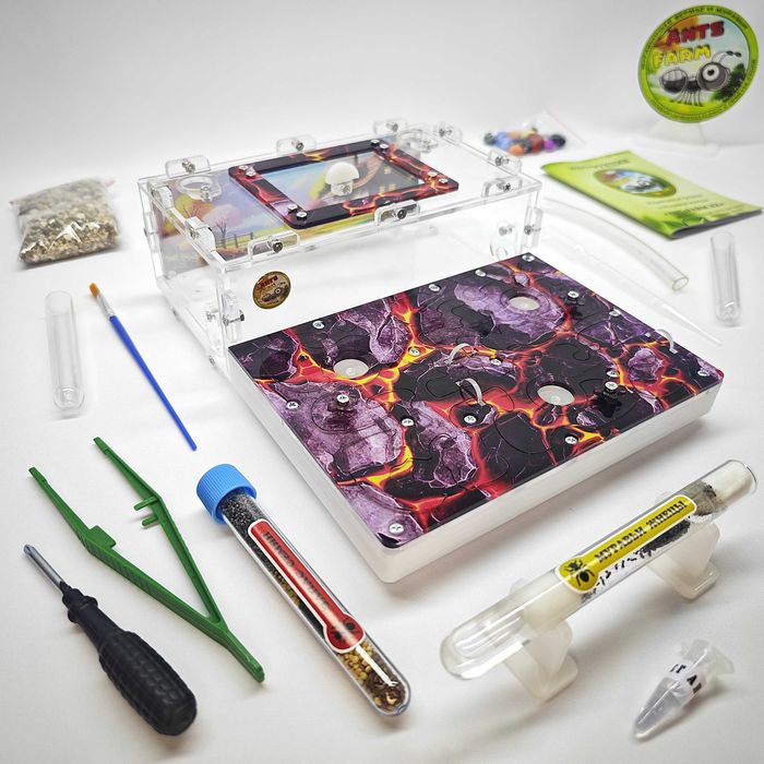 Муравьиная ферма - Муравьи жнецы ||| ГИПСОВЫЙ Формикарий "ADVANCED"