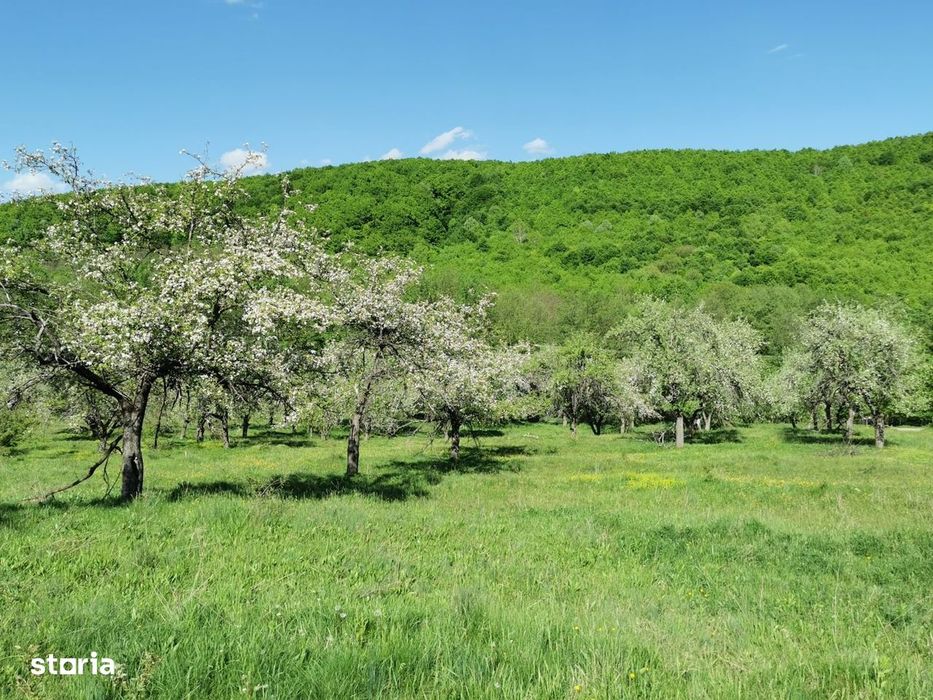 Teren de Vânzare, Budeasa Mica – Potrivit pentru Casă de Vacanță sau I