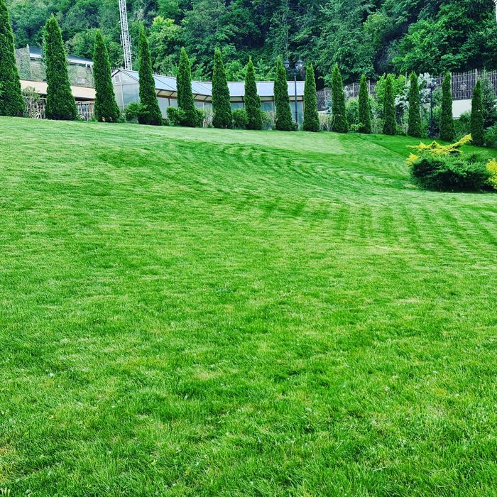 Уход за газоном, автоплив