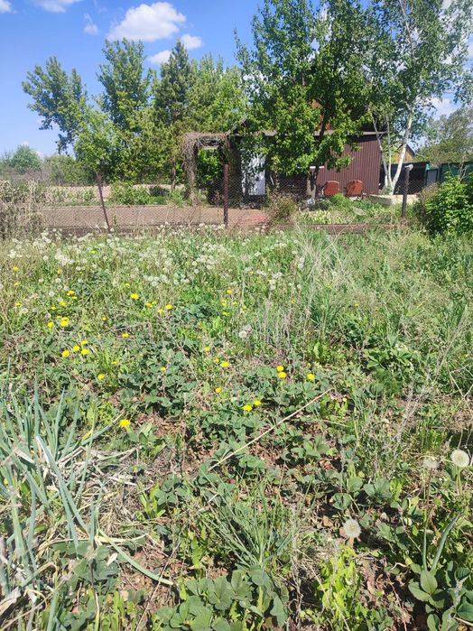 Продаю дачу Натуралист