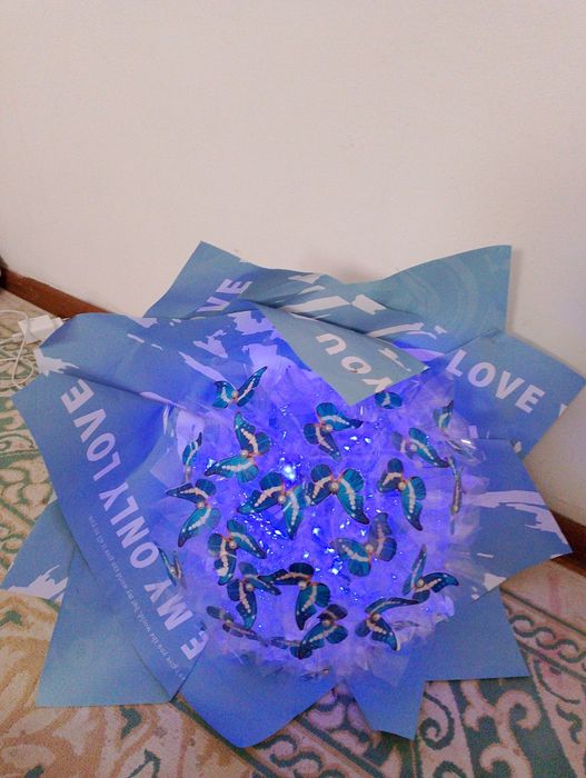 Светок бабочка  букет