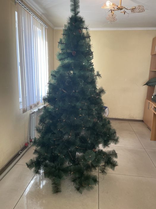 Продам ёлки новогодние