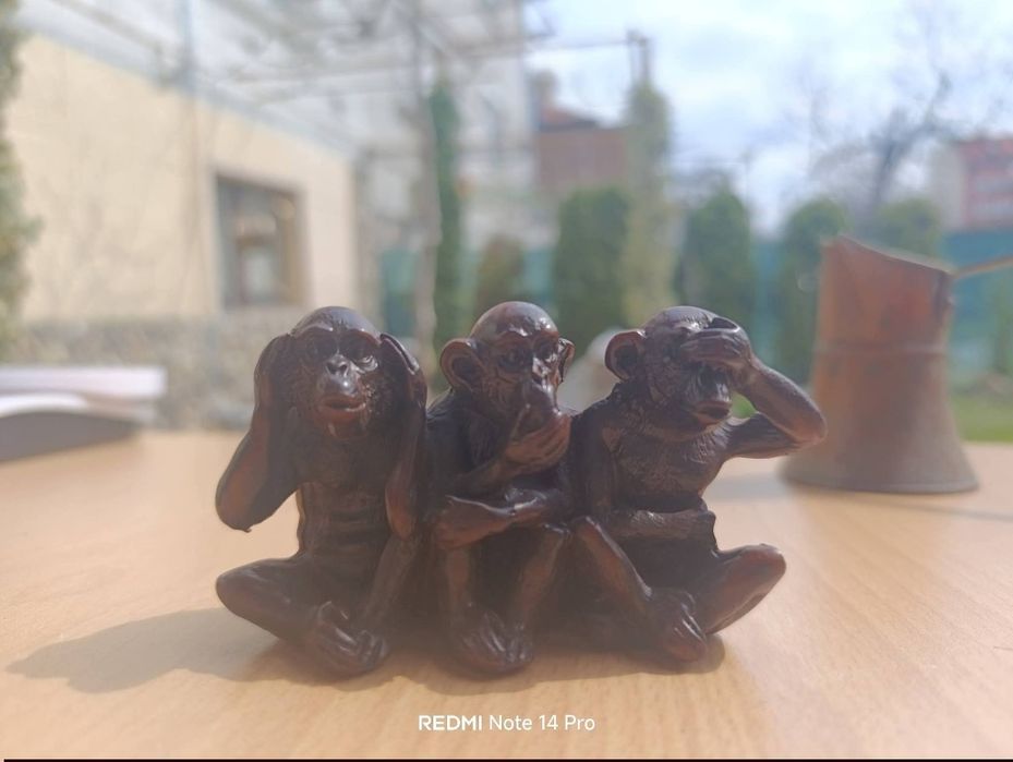 Не знам , не чух , не видях