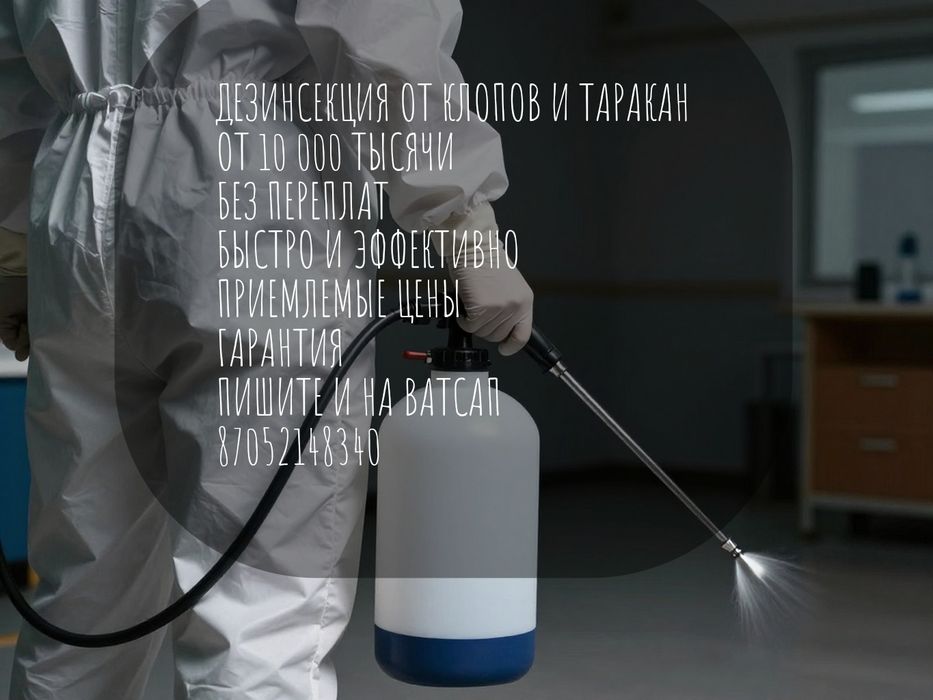 Постельные клопы