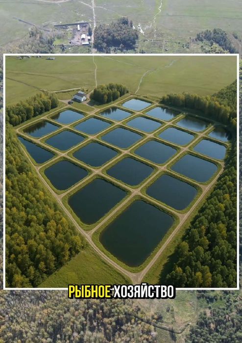 Земля 32.700  гектара