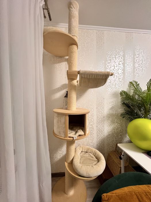 Ansamblu pisici pana la tavan