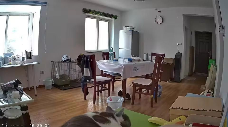 Camera spion în ceas