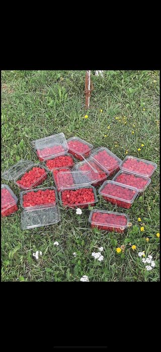 Vind zmeură proaspăt