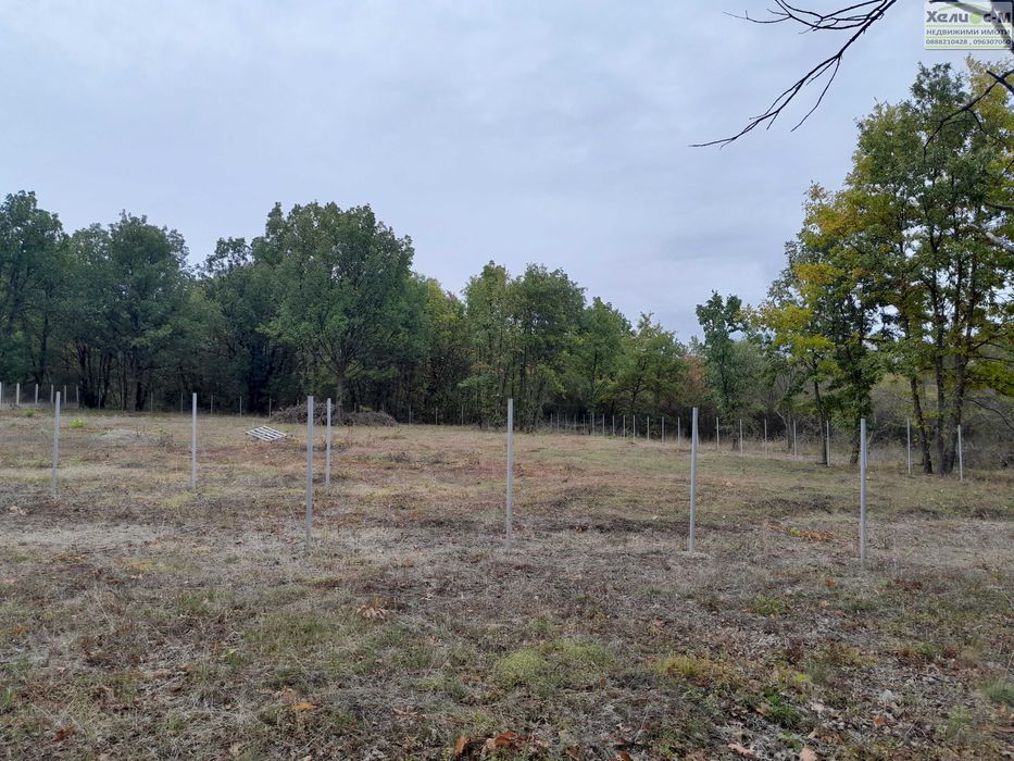 Парцел в местност Расника до яз.Огоста, гр.Монтана