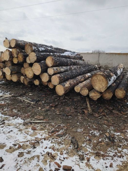 Не обрезная доска 3 метра