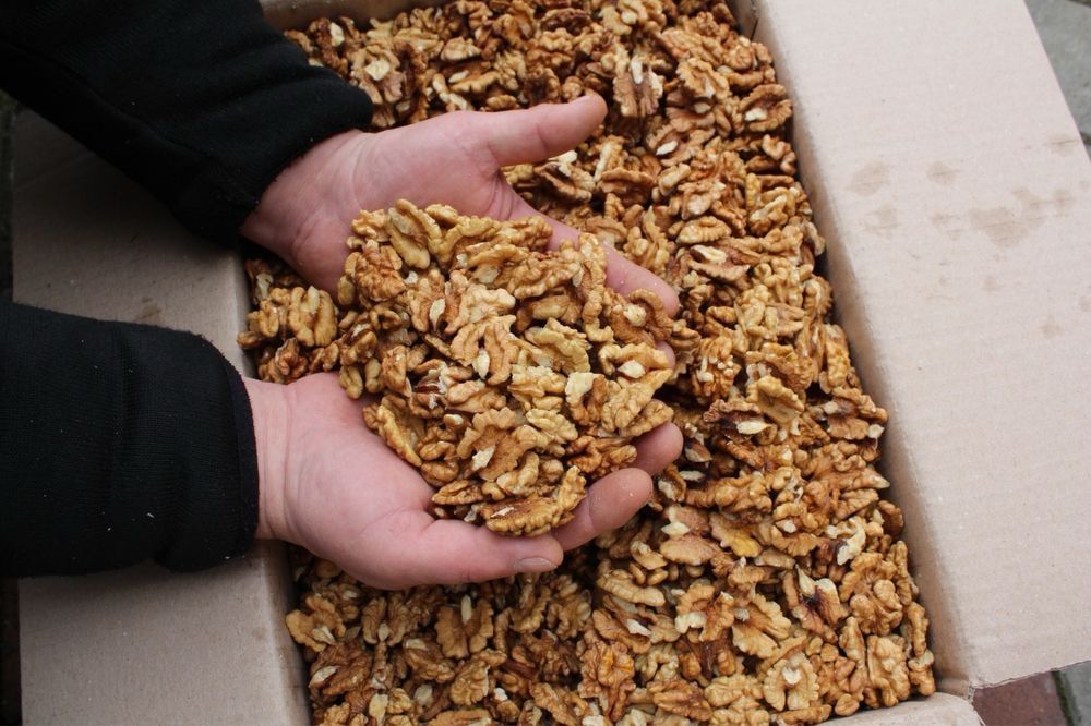 Vând miez de nuca  2025 ,selectata