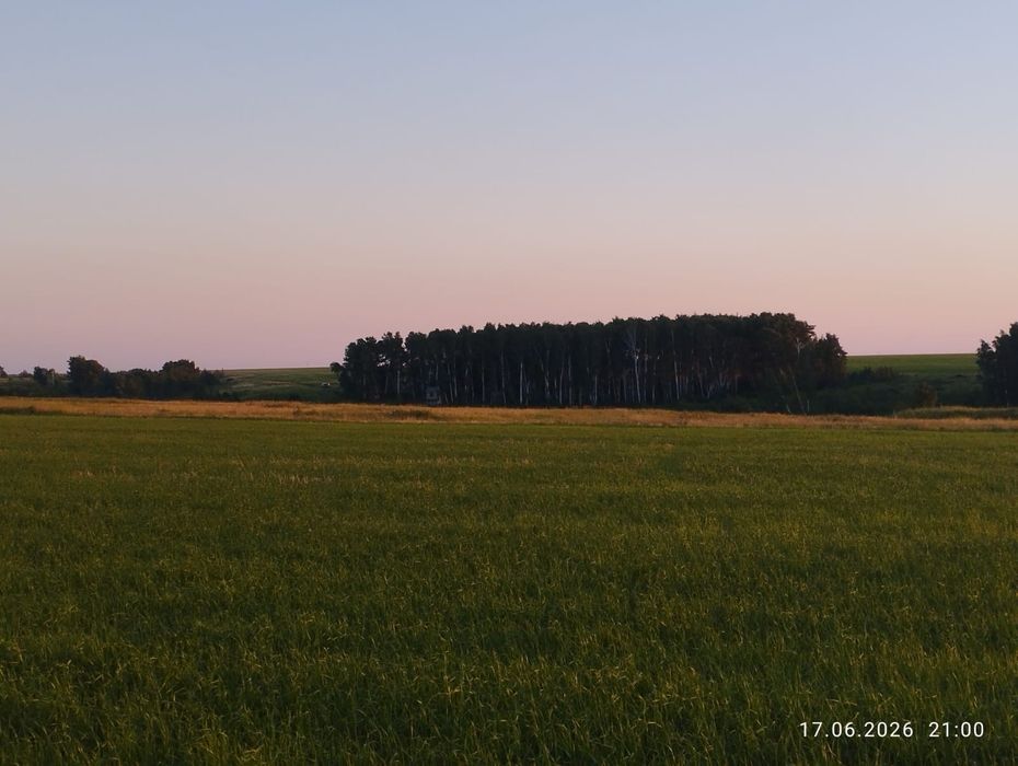 Продам землю с/х назначения