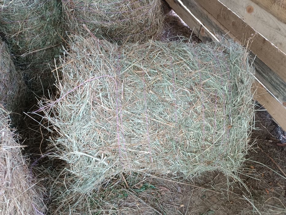 Малки ролонни бали