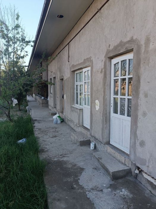 Мини ферма сотилади ёки арендага берилади