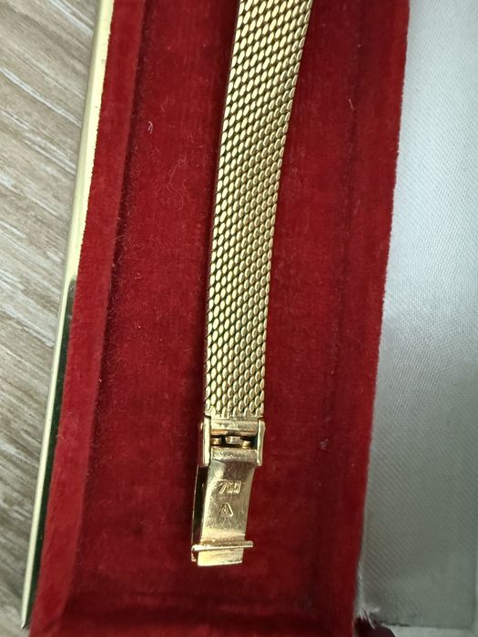 Omega, Rolex, Citizen, Fossil, Paterson, Dolce Gabbana, Espirit